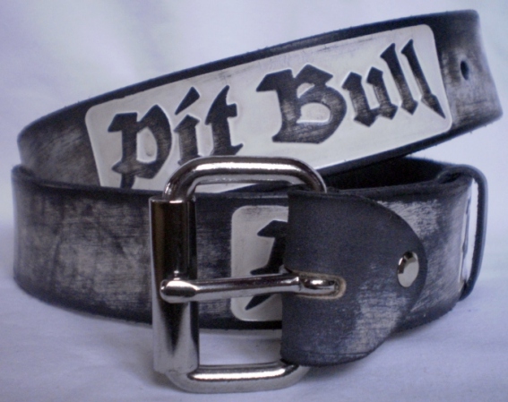 pit bull 1